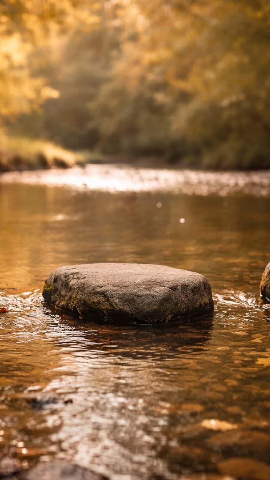 A steady stone rests in a gently flowing river surrounded by soft autumn light, symbolizing the grounding and stability found in effective mental health treatment.